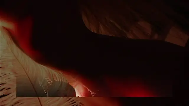 Alvuwkaa online show from December 1, 2025, 8:08 am