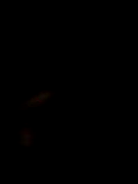 SofieLove 01 online show from December 1, 2025, 7:35 am