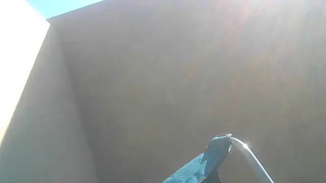 cuminsidebby online show from June 1, 2026, 7:54 am