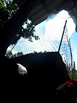 Bibilenu online show from October 5, 2025, 4:22 am