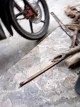 Bibilenu online show from November 9, 2025, 10:02 am