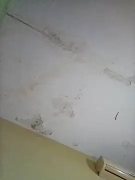 cometa267 online show from October 14, 2025, 5:58 pm