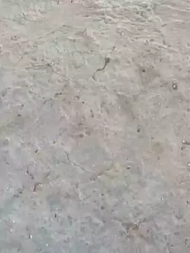 sonotutto online show from October 9, 2025, 6:06 pm