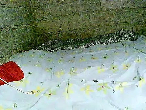 Snapshot of hotmom_pinay chatting on December 1, 2025, 2:05 am hotmom pinay online show from December 1, 2025, 2:05 am