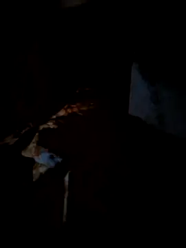 Snapshot of Real_Sucker chatting on March 15, 2026, 4:57 pm Real Sucker online show from March 15, 2026, 4:57 pm