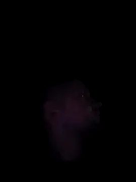 Mumuska online show from December 3, 2025, 10:52 pm