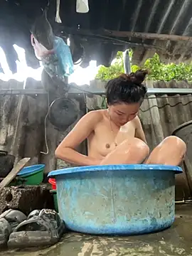 Sunny lotus online show from November 2, 2025, 12:02 am