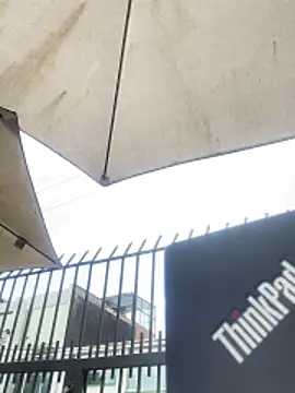 Sallem Pink online show from November 6, 2025, 11:22 am