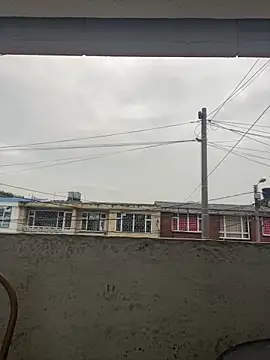 Sallem Pink online show from April 16, 2026, 11:11 am