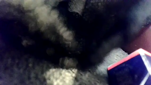 Snapshot of Evieskyy@xh chatting on November 26, 2025, 10:49 am Evieskyyxh online show from November 26, 2025, 10:49 am