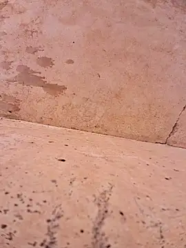 Negodabenga online show from November 17, 2025, 4:46 pm