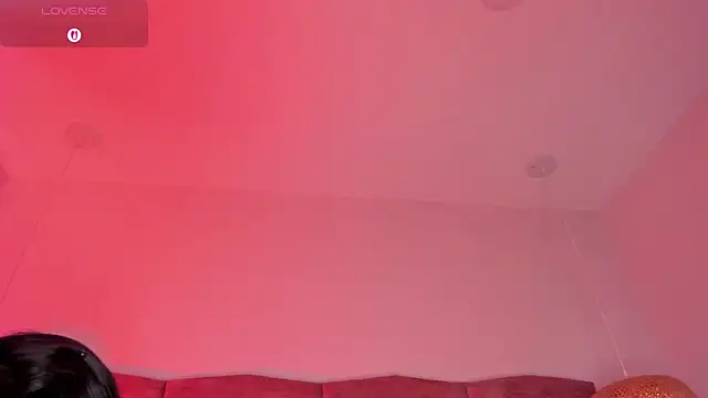 dani velvet online show from April 16, 2026, 3:07 am