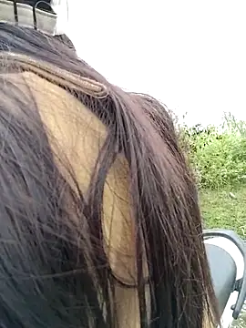 asian 2k online show from November 23, 2025, 1:16 am