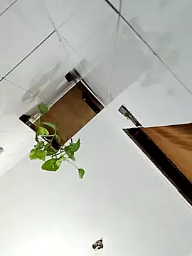 Rodrigo99 9 online show from April 10, 2026, 4:12 pm