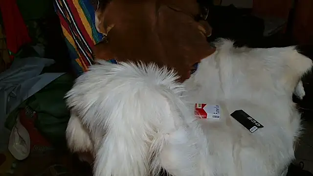 JUSTFORRICH online show from January 8, 2026, 10:12 pm