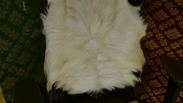 JUSTFORRICH online show from April 20, 2026, 3:48 pm