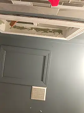 chocolate bella online show from November 20, 2025, 4:56 am