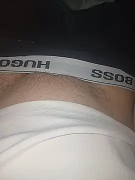 hornyhorny29483 online show from April 19, 2026, 1:38 am