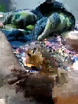 sitonmycock  online show from October 6, 2025, 9:01 pm