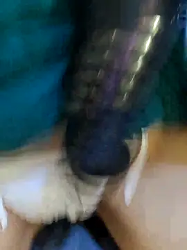 Bee sweet online show from February 22, 2026, 9:41 am