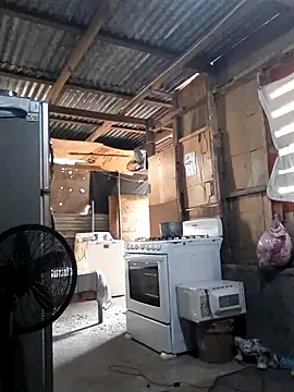 Snapshot of Steehood chatting on November 20, 2025, 2:50 pm Steehood online show from November 20, 2025, 2:50 pm