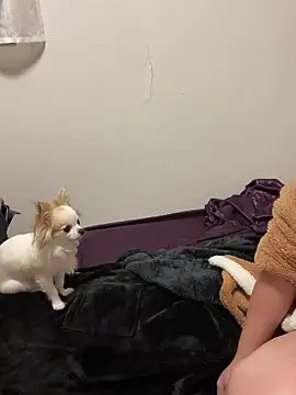 Snapshot of h415a812 chatting on November 4, 2025, 7:35 pm h415a812 online show from November 4, 2025, 7:35 pm