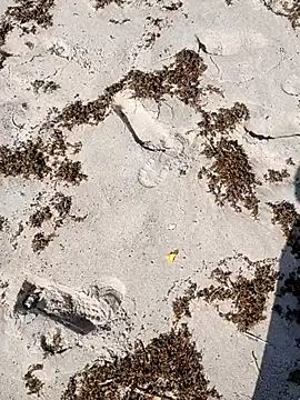 Snapshot of sarahkat86 chatting on October 4, 2025, 2:37 pm sarahkat86 online show from October 4, 2025, 2:37 pm