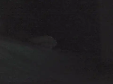 Snapshot of sarahkat86 chatting on October 30, 2025, 1:01 pm sarahkat86 online show from October 30, 2025, 1:01 pm