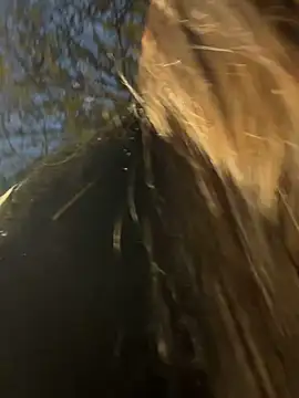 Snapshot of -juicy_ chatting on February 17, 2026, 11:22 pm -juicy online show from February 17, 2026, 11:22 pm