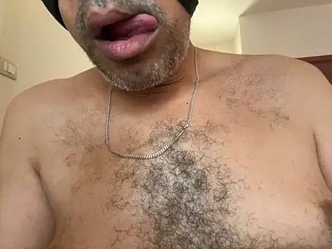 Snapshot of CaiBull chatting on September 23, 2025, 8:17 am CaiBull online show from September 23, 2025, 8:17 am