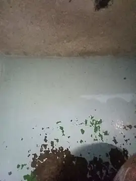 Snapshot of RandalHot chatting on January 14, 2026, 4:18 am RandalHot online show from January 14, 2026, 4:18 am