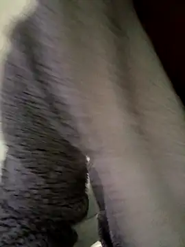 cameron334 online show from November 1, 2025, 1:29 am