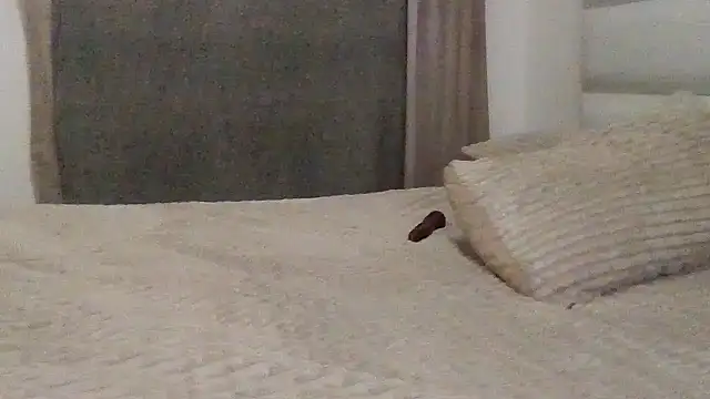 Snapshot of SexyNonnyy chatting on October 10, 2025, 6:40 pm SexyNonnyy online show from October 10, 2025, 6:40 pm