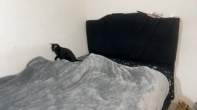 Conor Taylor online show from September 9, 2025, 3:22 pm