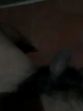 Snapshot of PhlegmySewerage chatting on October 11, 2025, 1:16 am PhlegmySewerage online show from October 11, 2025, 1:16 am