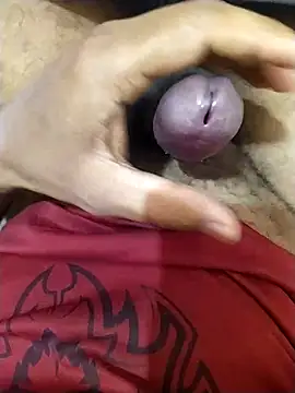 8inches DelhiBOY online show from November 26, 2025, 8:48 am