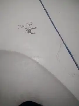 Snapshot of Celestial_Field chatting on April 9, 2026, 4:45 pm Celestial Field online show from April 9, 2026, 4:45 pm