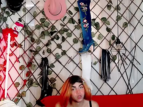 nizzan cutte  online show from September 14, 2025, 4:28 pm