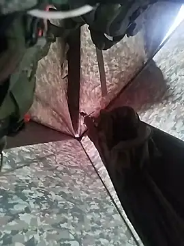 Alabestia12 online show from November 5, 2025, 9:48 pm