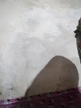 Snapshot of big_booty15 chatting on October 5, 2025, 2:32 am big booty15 online show from October 5, 2025, 2:32 am