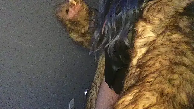 Stevey5894 online show from November 30, 2025, 5:28 pm