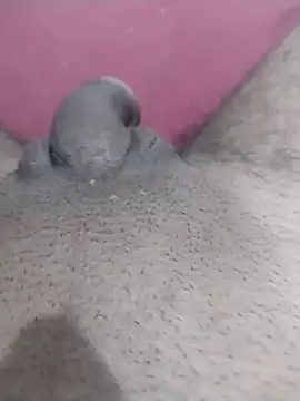 Snapshot of motoboytkbh chatting on April 9, 2026, 8:03 pm motoboytkbh online show from April 9, 2026, 8:03 pm