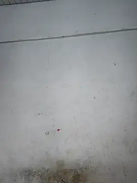 Your-Samayra online show from September 16, 2025, 9:32 am