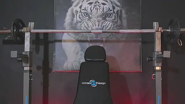 DimitriDeluxe online show from December 3, 2025, 7:45 pm