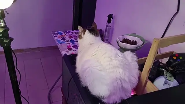 Lovers cave online show from December 19, 2025, 2:07 am