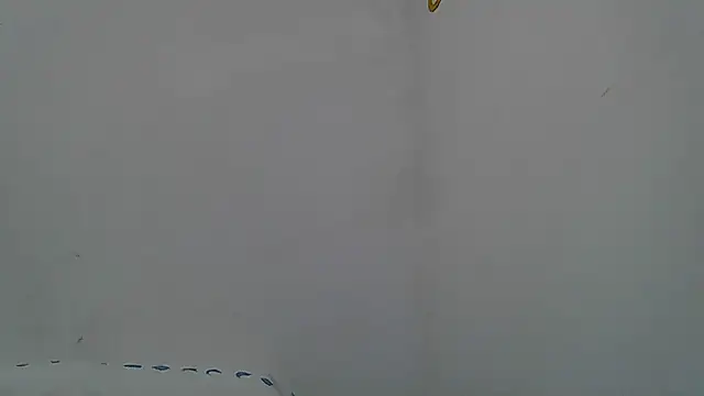 Kevintdx online show from April 11, 2026, 2:05 am