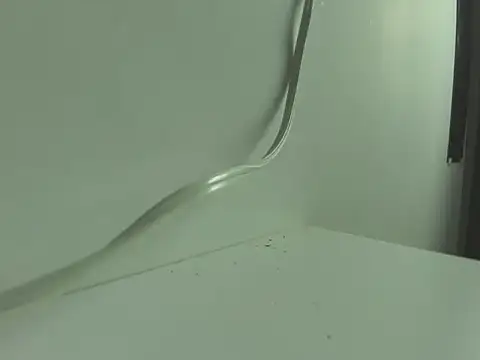 BrigthIbarra online show from November 12, 2025, 2:23 am