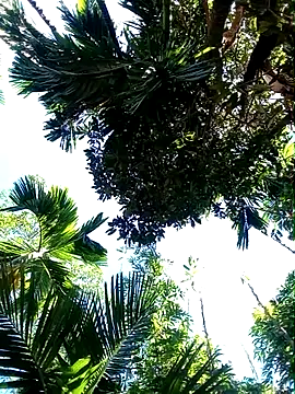 Snapshot of Johlrd chatting on November 19, 2025, 5:18 am Johlrd online show from November 19, 2025, 5:18 am