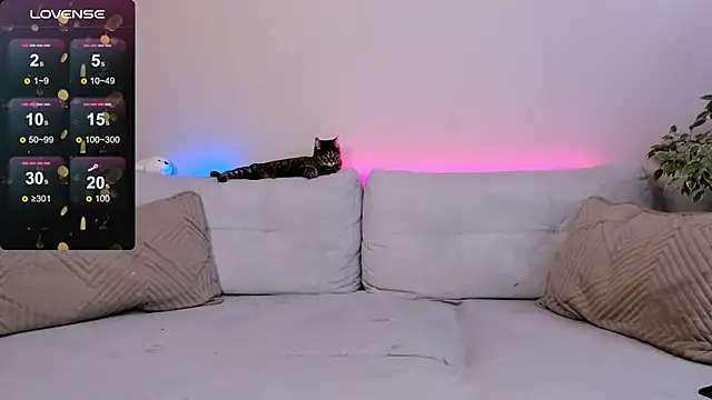 salmaesco online show from September 15, 2025, 2:00 am