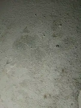 altafhyd online show from October 5, 2025, 10:57 am